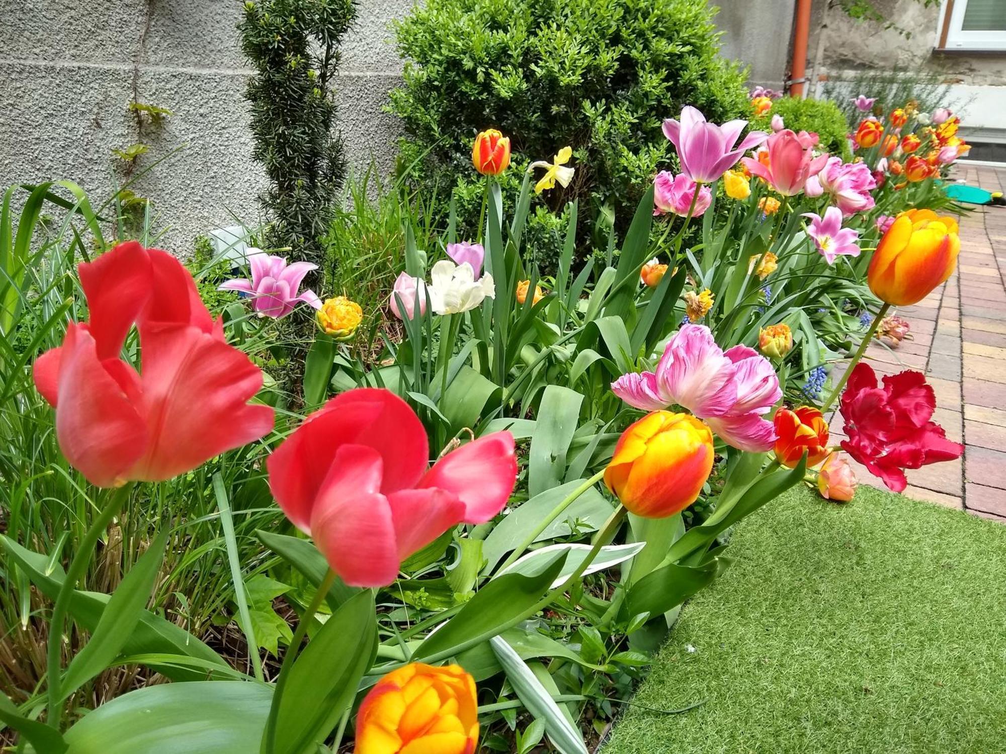 Poezja Daire Lublin Dış mekan fotoğraf